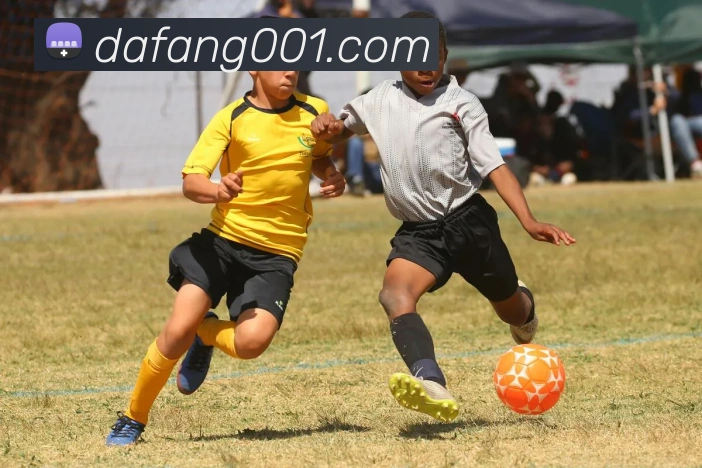 大发彩票官网服务体系